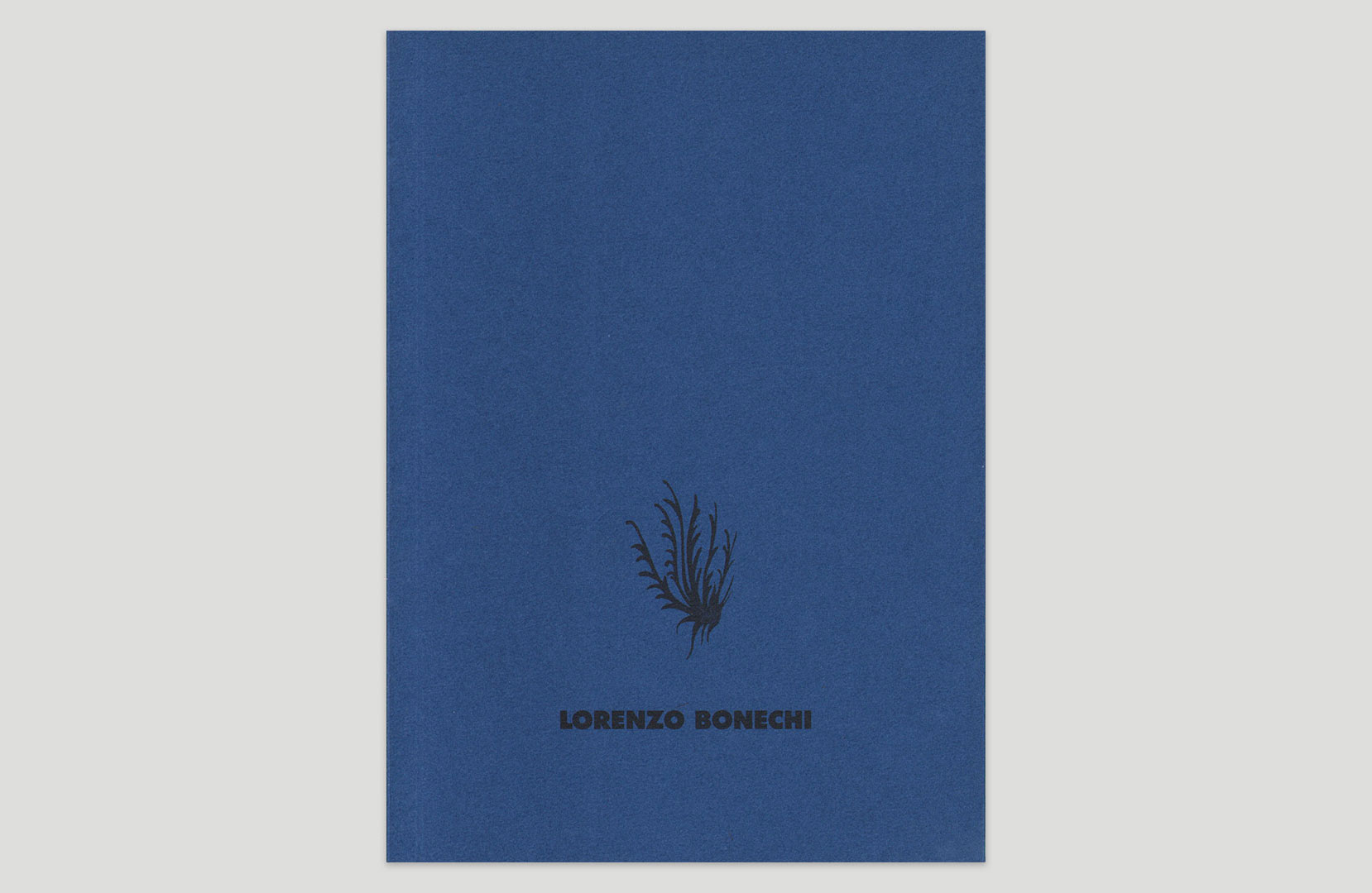 Lorenzo Bonechi, catalogo della mostra, con un testo di P. Friedhelm Mennekes SJ, Galerie Hilger, Vienna, 1991